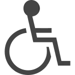 Accessibility SVG Icon